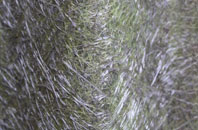 Little Stonham fibreglass roof work